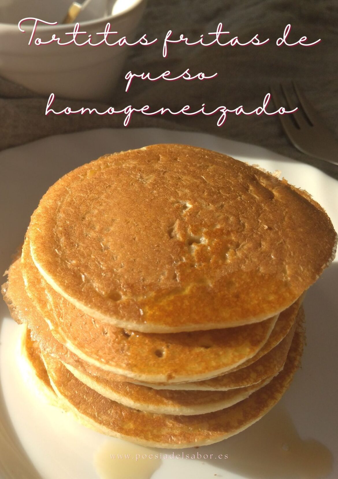 tortitas fritas de queso homogeneizado tortitas fritas de queso homogeneizado